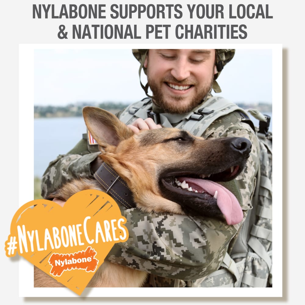 Nylabone Healthy Edibles All-Natural Long Lasting Roast Beef Dog Chew Treats (2pk) (1.5oz)