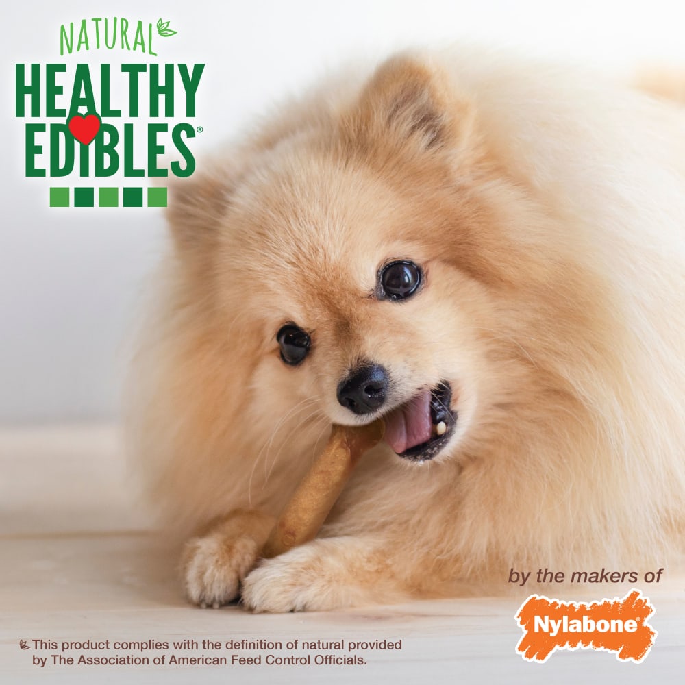 Nylabone Healthy Edibles All-Natural Long Lasting Bacon Chew Treats (6.7oz)
