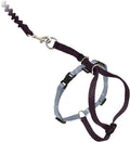Come With Me Kitty Cat Harness & Bungee Leash Medium Black