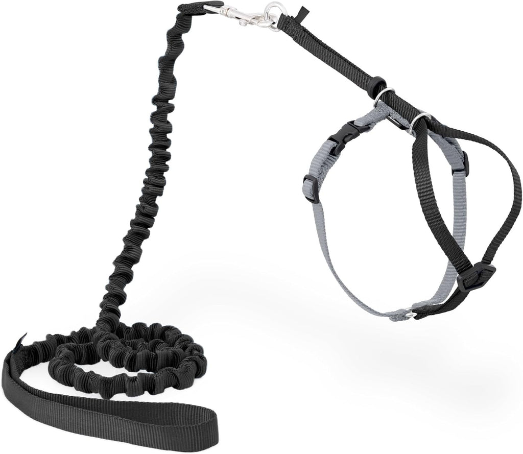 Come With Me Kitty Cat Harness & Bungee Leash Large Black