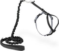 Come With Me Kitty Cat Harness & Bungee Leash Large Black
