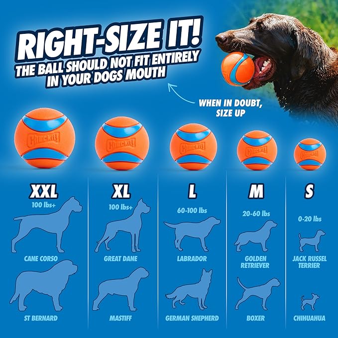 ChuckIt Dog Sport Launcher 18M