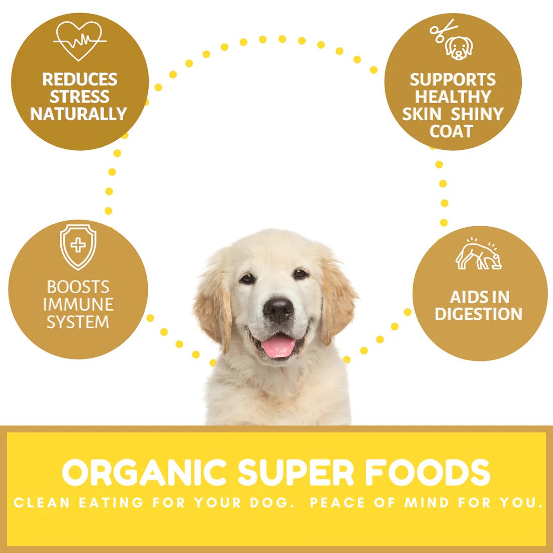 Dog Mamma's Organic Peanut Butter Banana Oven Baked Dog Treats (6oz)