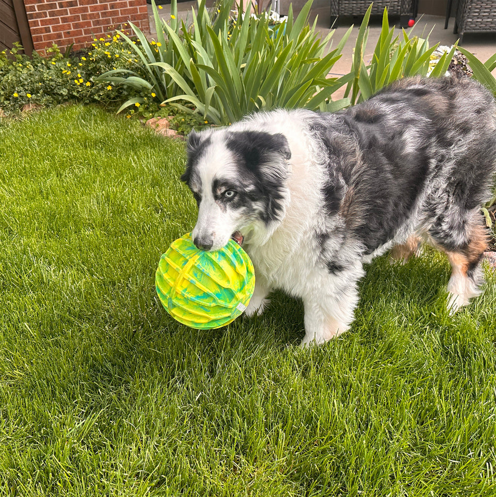 Kong Flexball Sport Ball XL