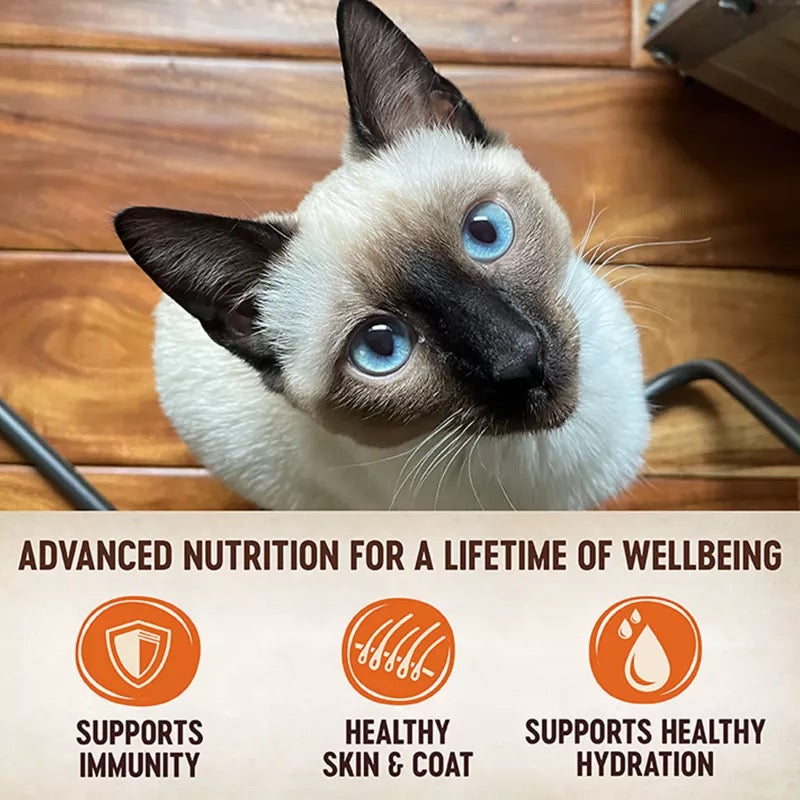 Wellness Core Tiny Tasters Tuna & Salmon Wet Cat Food