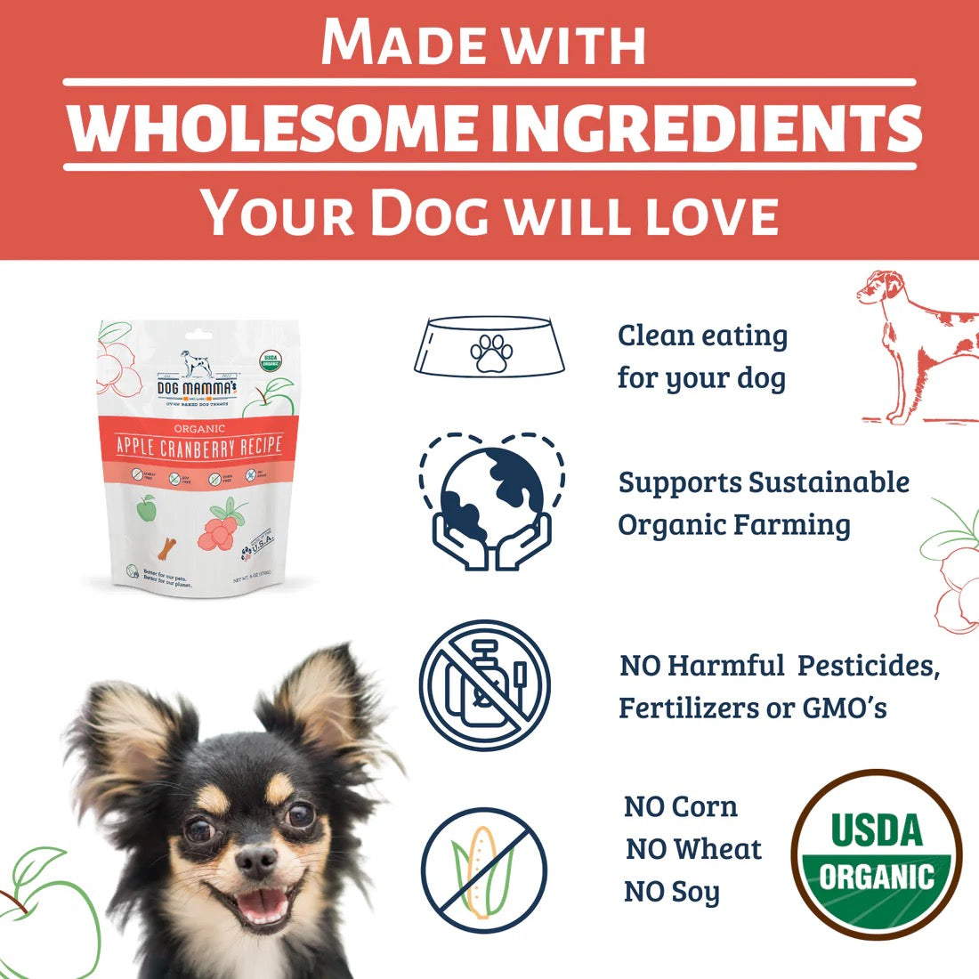 Dog Mamma's Organic Apple Cranberry Oven Baked Dog Treats (6oz)