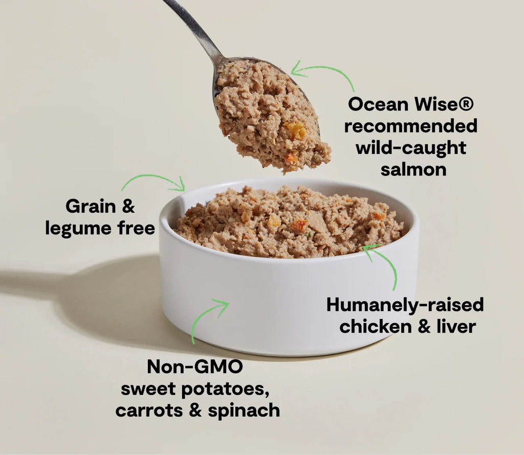 Open Farm Grain Free Puppy Chicken & Salmon Pate Wet Dog Food (12.5oz)