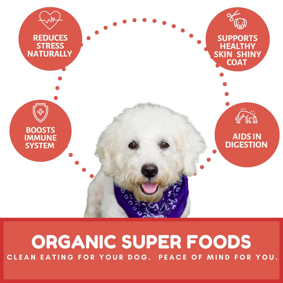 Dog Mamma's Organic Apple Cranberry Oven Baked Dog Treats (6oz)