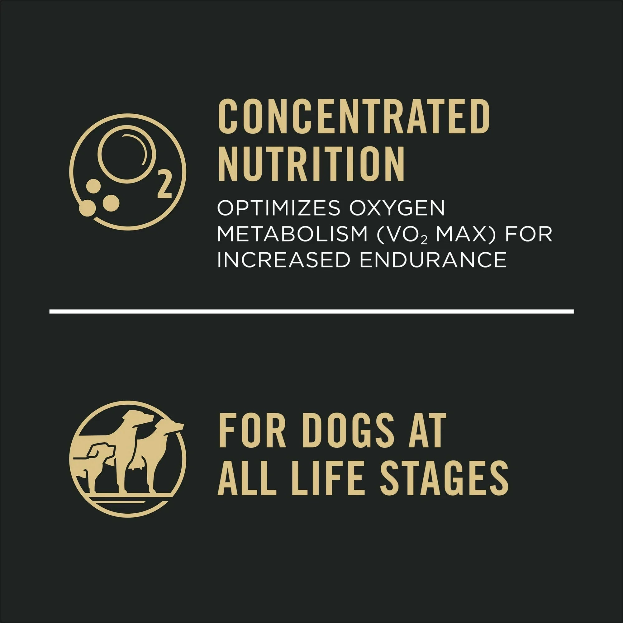 Pro Plan All Ages Sport Performance 30/20 Chicken & Rice Dry Dog Food Formula