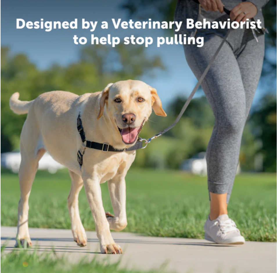 Petsafe Easy Walk Dog Harness Black Large