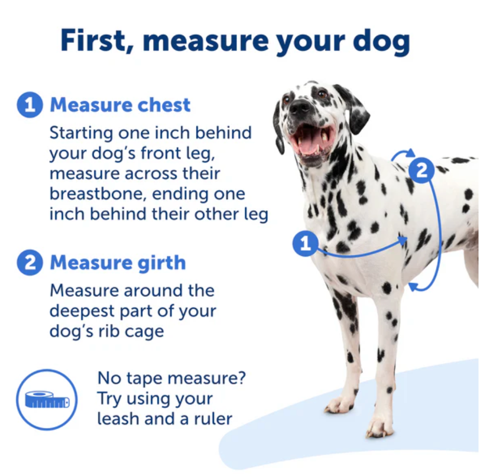 Petsafe Easy Walk Dog Harness Black Large