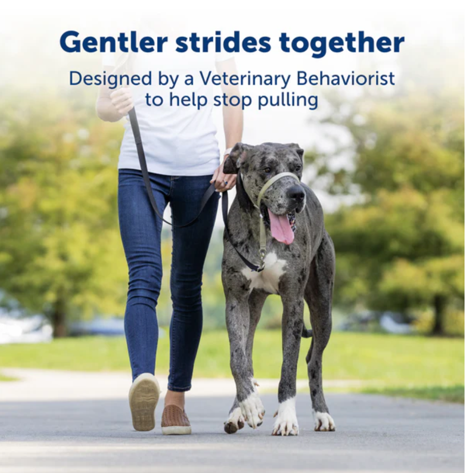 Petsafe Gentle Leader® Headcollar, No-Pull Dog Collar Black Large