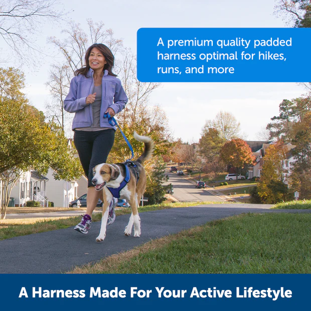 Petsafe Easysport Harness Teal Md
